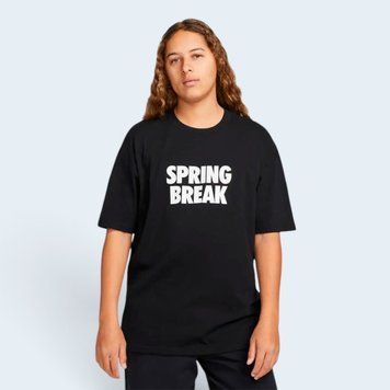 NIKE Футболка NK SB TEE SPRING BREAK / DX9457-010 L розмір одягу XC-018465-L фото